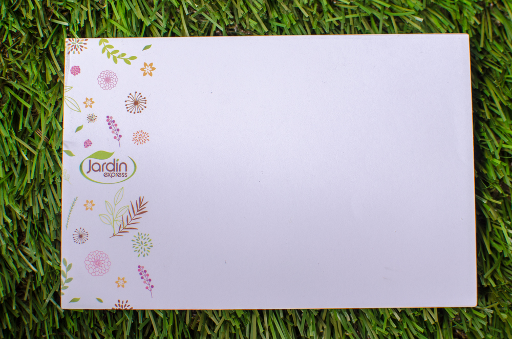 MaPlant'box de fin mars 2018: Tagada tsoin tsoin