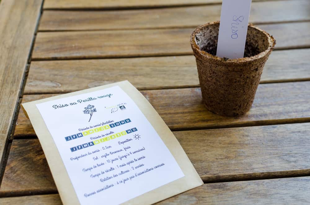 Greenabox de juin: Saveurs d'été