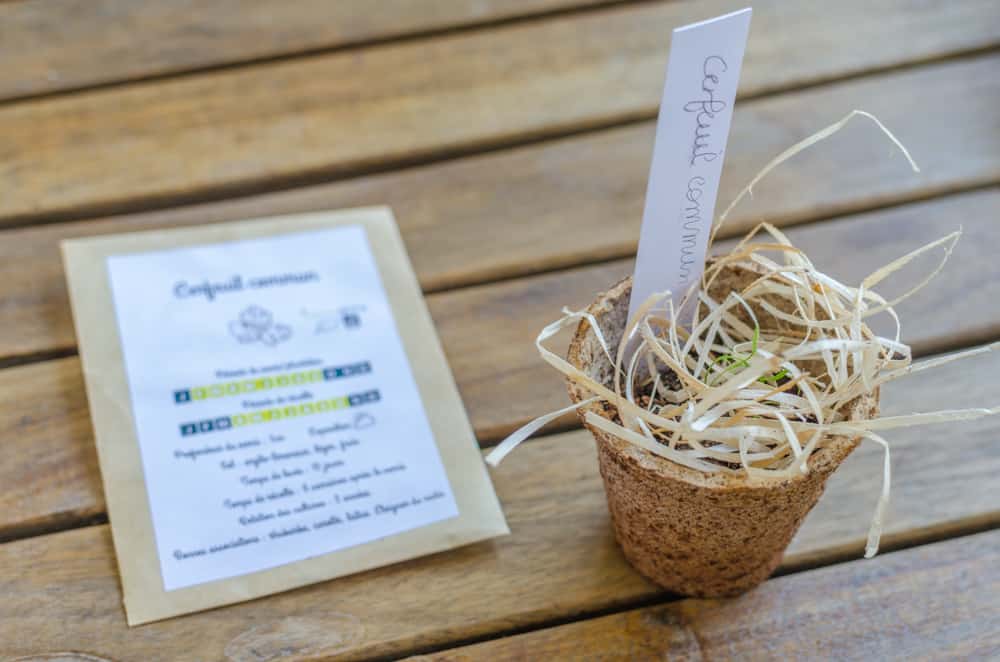 Greenabox de juin: Saveurs d'été