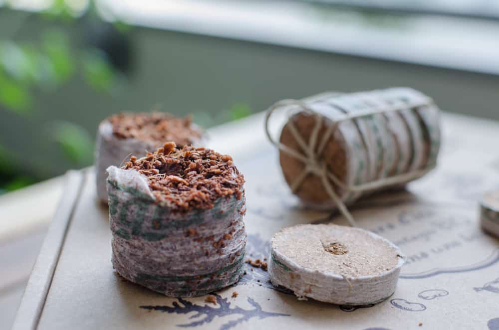Greenabox de juin: Saveurs d'été