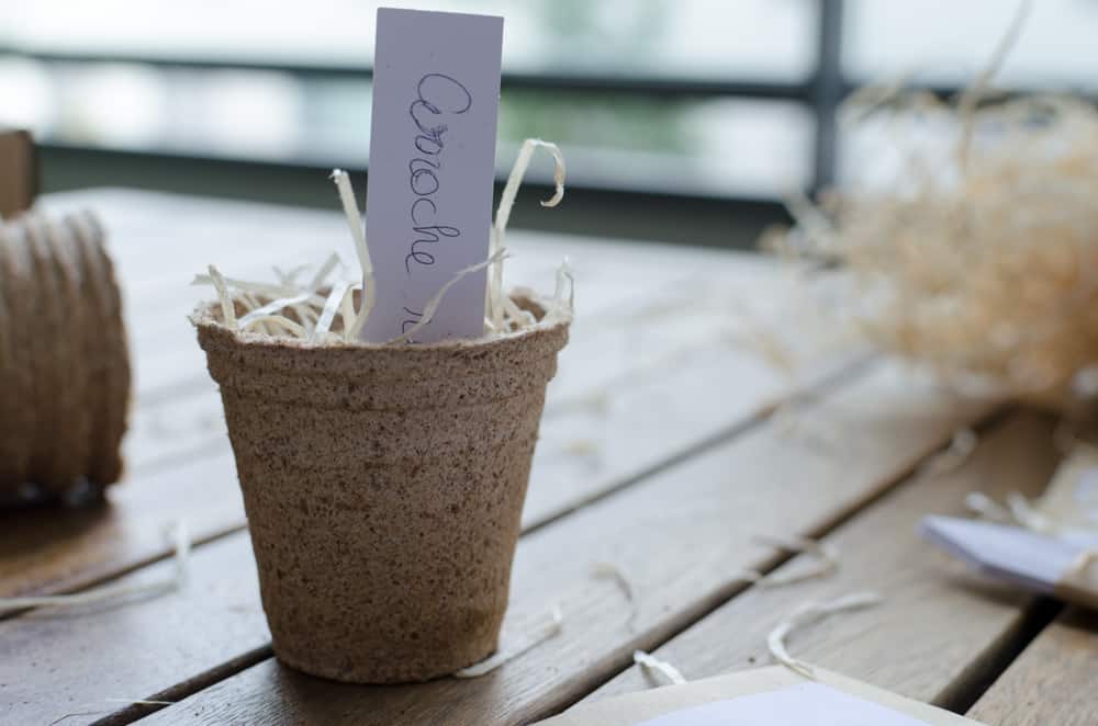 Greenabox de juin: Saveurs d'été