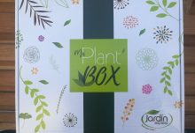 ma plant box