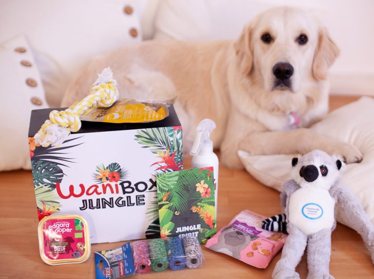 Wanibox Pour Chiens Mars 2019 Toutes Les Box