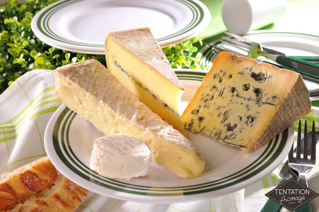Tentation Fromage innove avec sa nouvelle bûche en fromage ! –