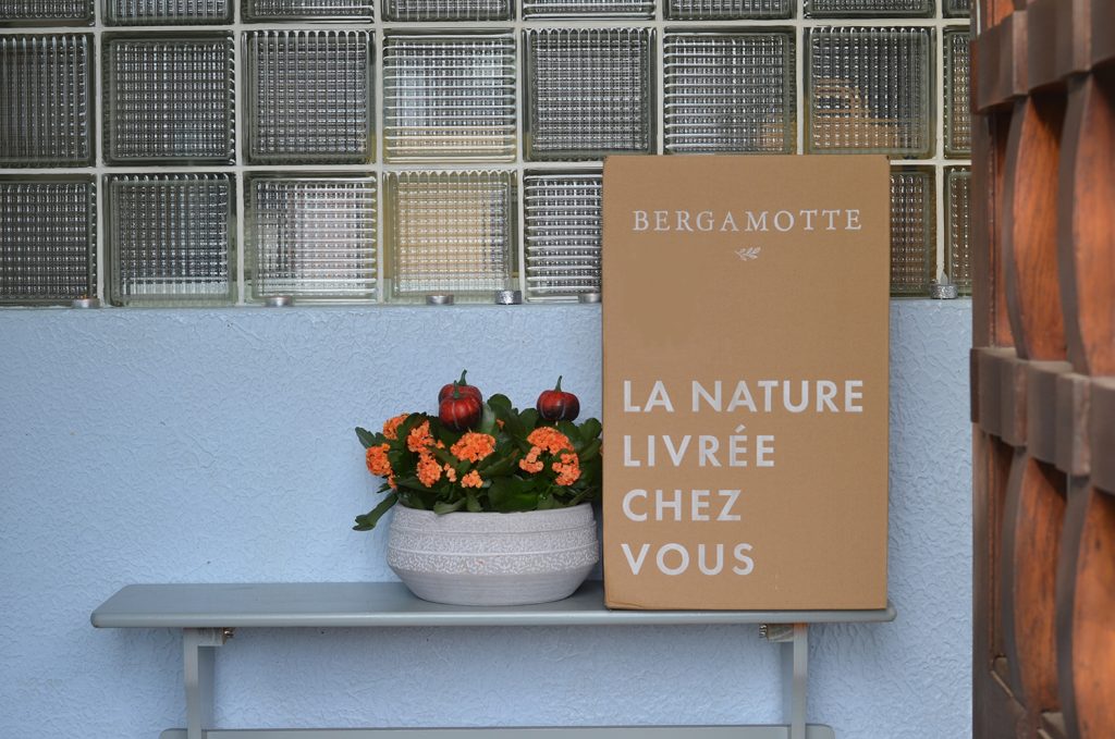 Bergamotte Bouquet Flower Club Novembre 2019 Toutes Les Box