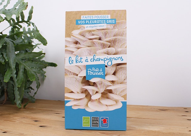 Kit de champignons pleurotes : À lire avant d'acheter (2023)