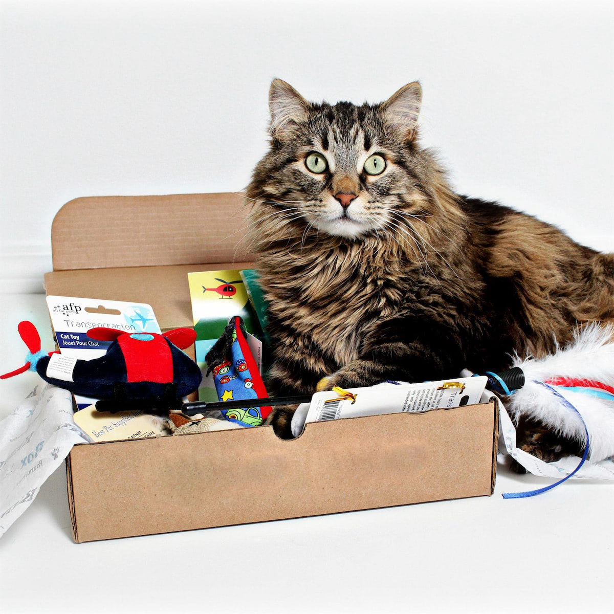 Nobleza Cat paquet cadeau M - jouets pour chats - boîte cadeau pour chat -  boîte pour