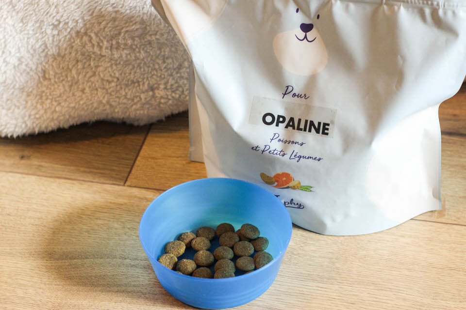 Avis sur Japhy : ce que je pense des croquettes pour chiens (2021)