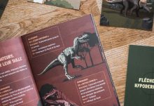 MysterioKid : mission dinosaures