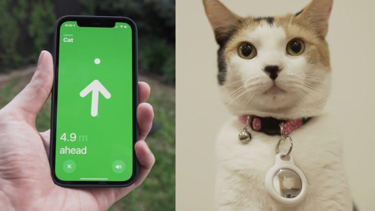 Traceur GPS intelligent pour collier de chat - Chatounette