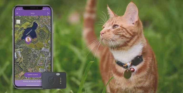 Collier traceur GPS pour chat – Dog and Cat Passion