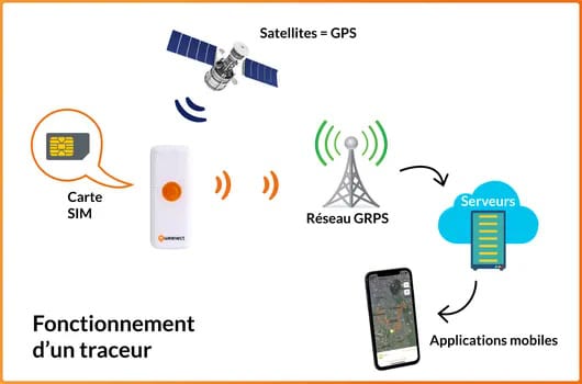 Winnes Collier GPS sans Abonnement pour Chien Traceur GPS 4G Anti-Fugue  Anti-Perte GPS Tracker étanche pour Chien TK911 Pro14 - Cdiscount Auto