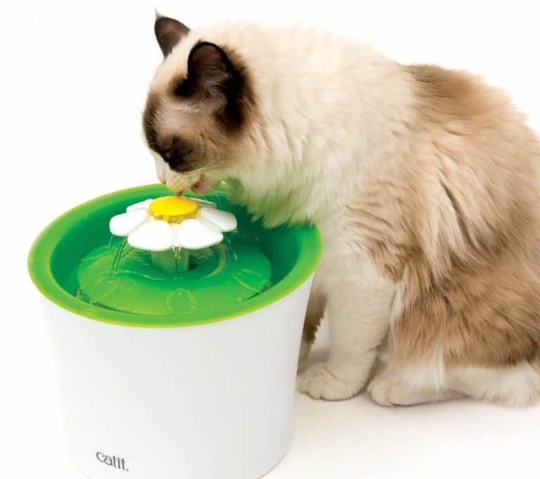 La fontaine à eau connectée pour chat Pixi Catit - Une Belle Vie