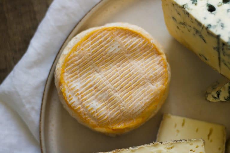 Boîte à fromage : Les 5 meilleurs modèles de 2023 - Optare